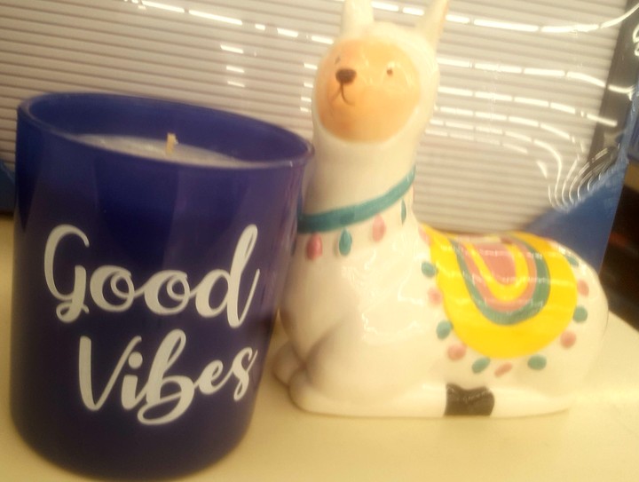 'Good Vibes & A Llama'