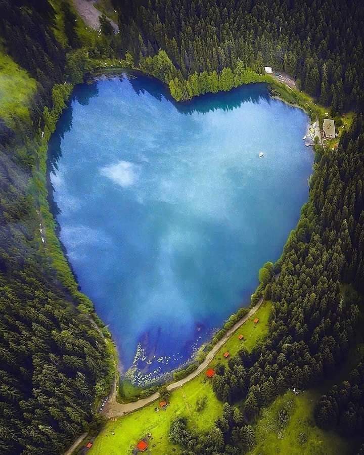 ❤️❤️❤️❤️