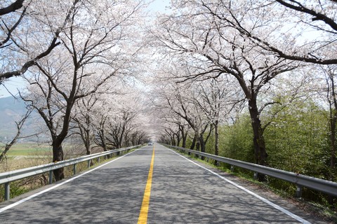 Spring