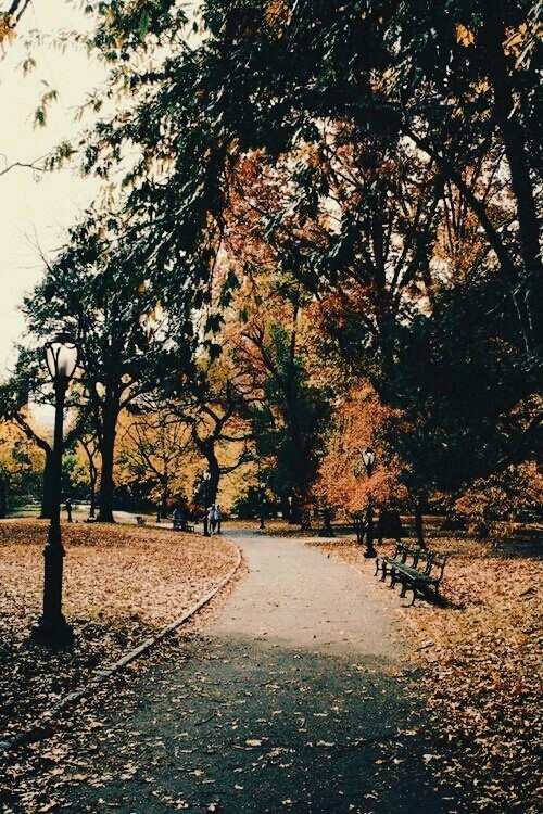 lovely Autumn...
