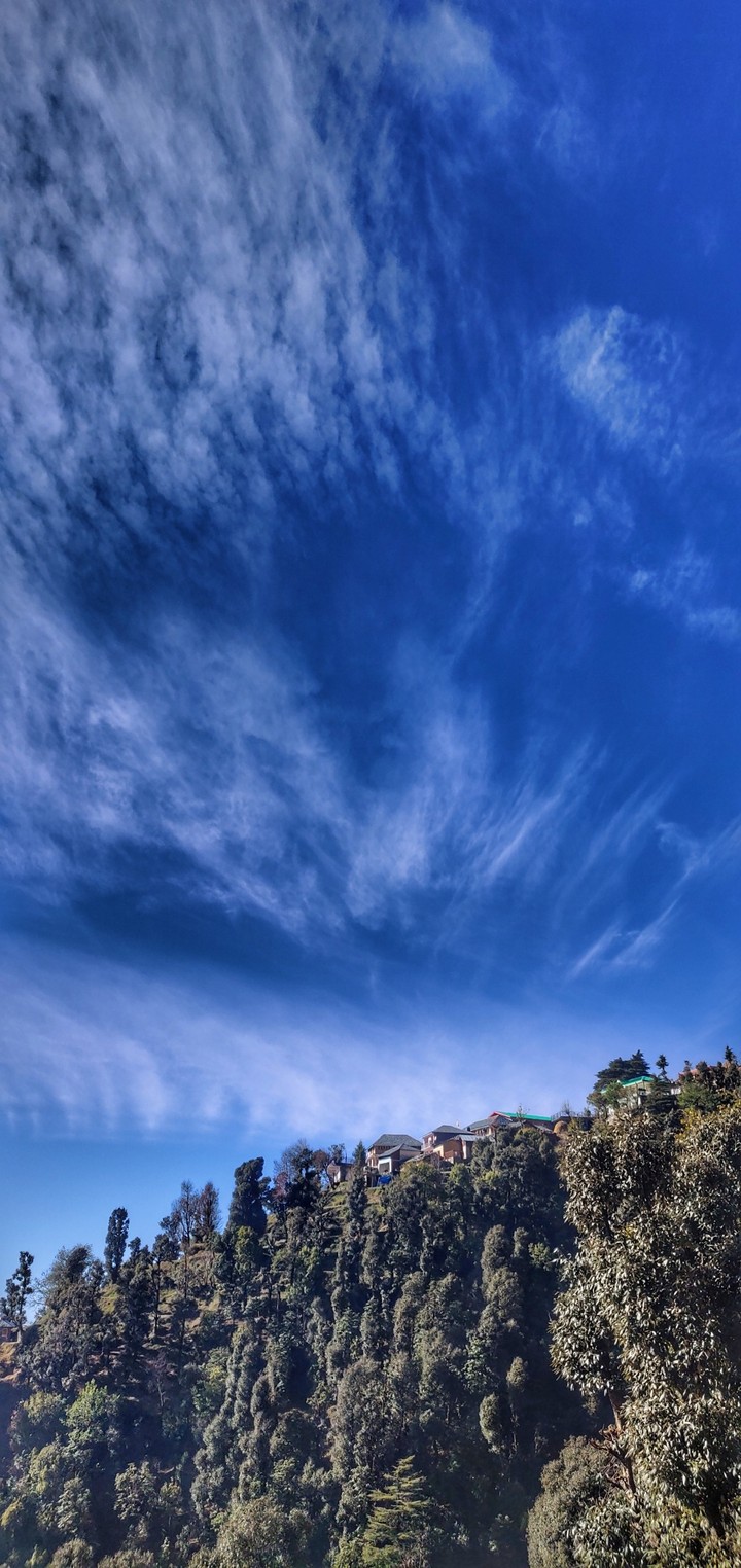 Sky Blue