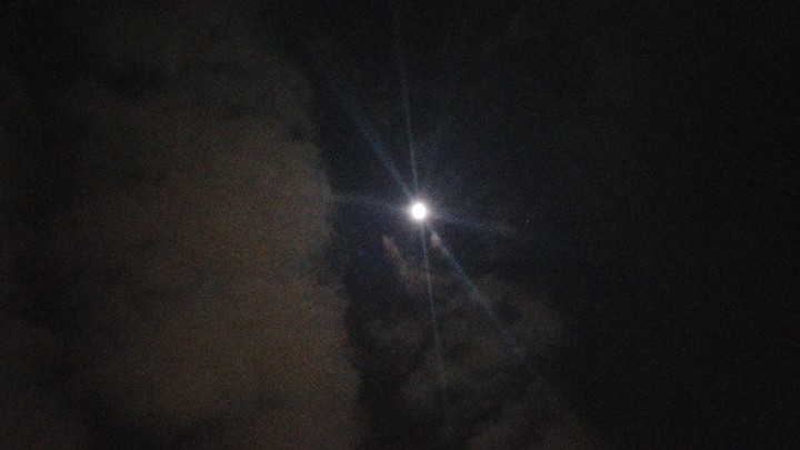 talking to the moon