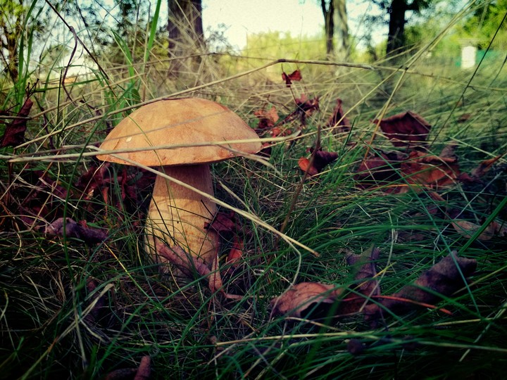 September)