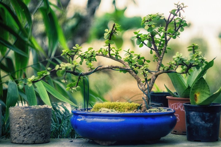 love gardening....