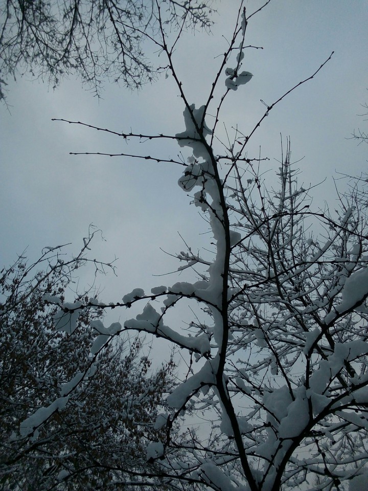 snow