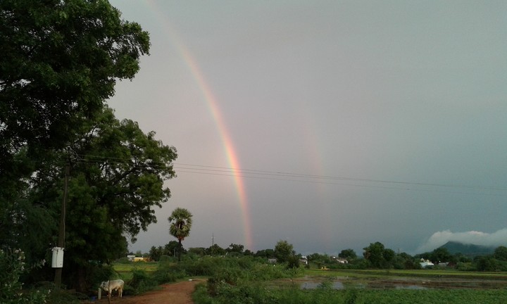 Rainbow
