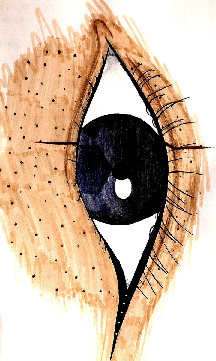 Eye