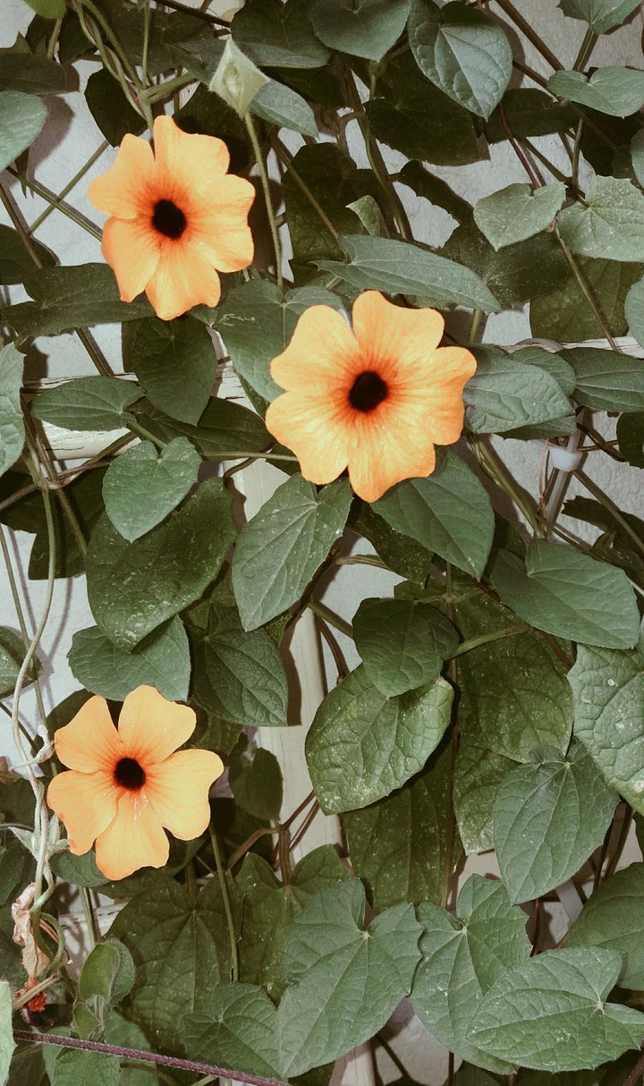 insta: anna11200