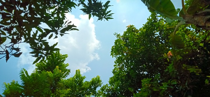 best nature pic hd