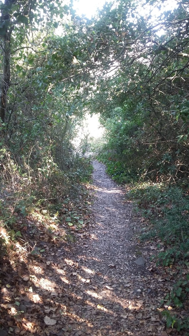 Caminhos, Mafra