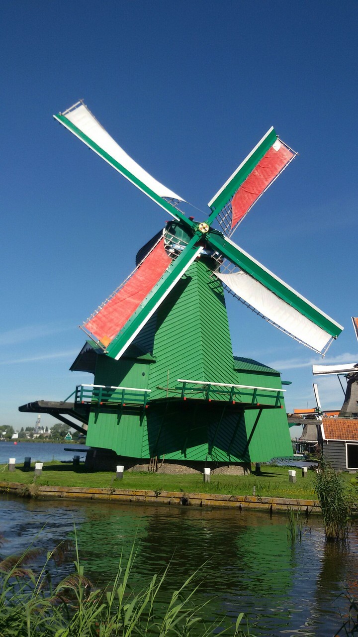 pays bas