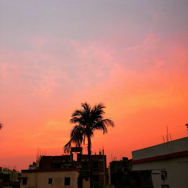 An evening