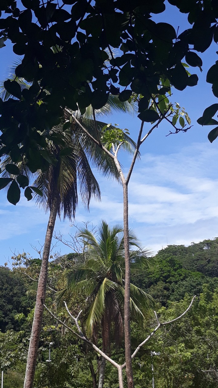 Terra e céu