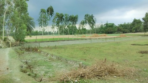 Sahel