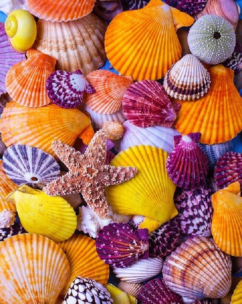 color