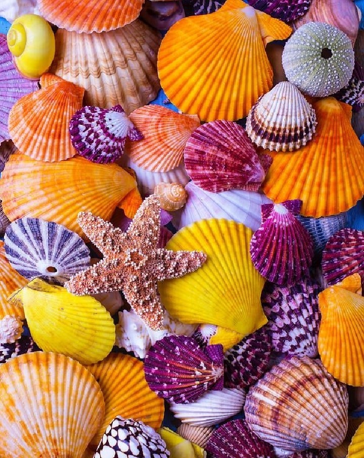 color