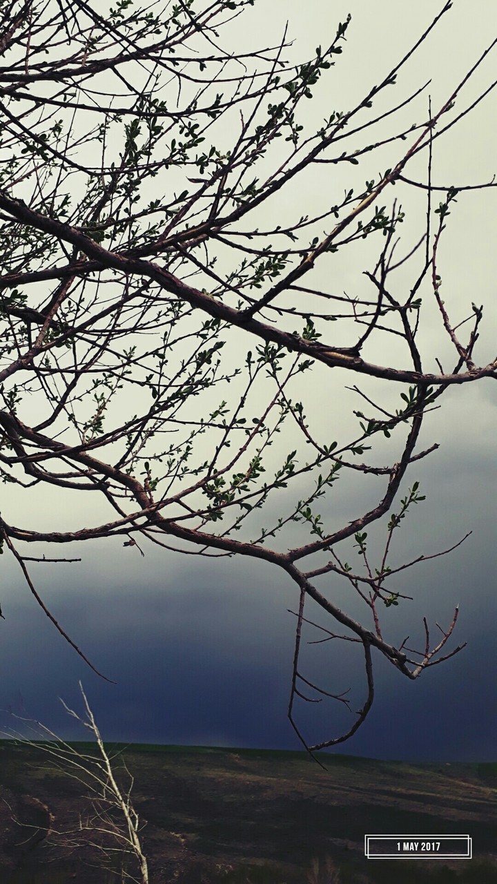 before rain