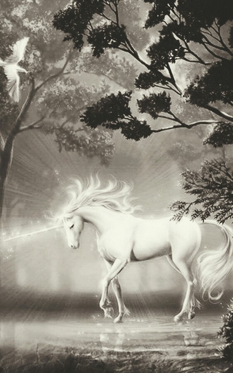 wonderfull
