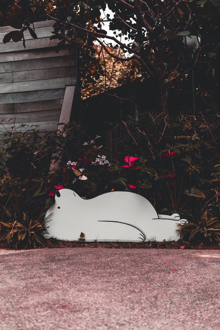 white Bear