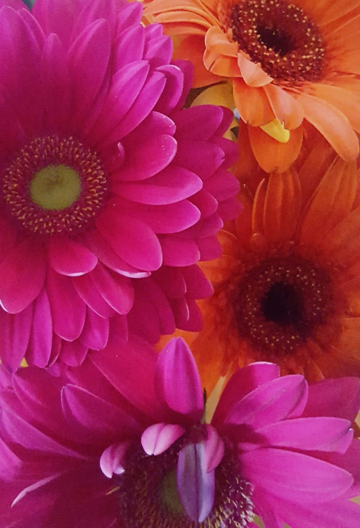 Flowers