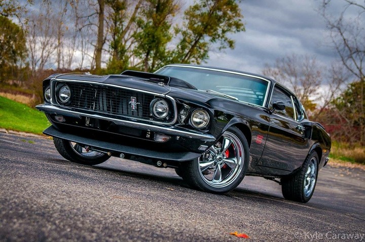 Mustang Automne