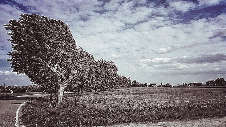 #wind