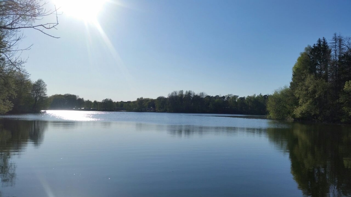 sunny see