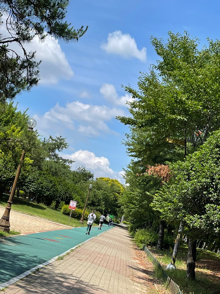 셀카