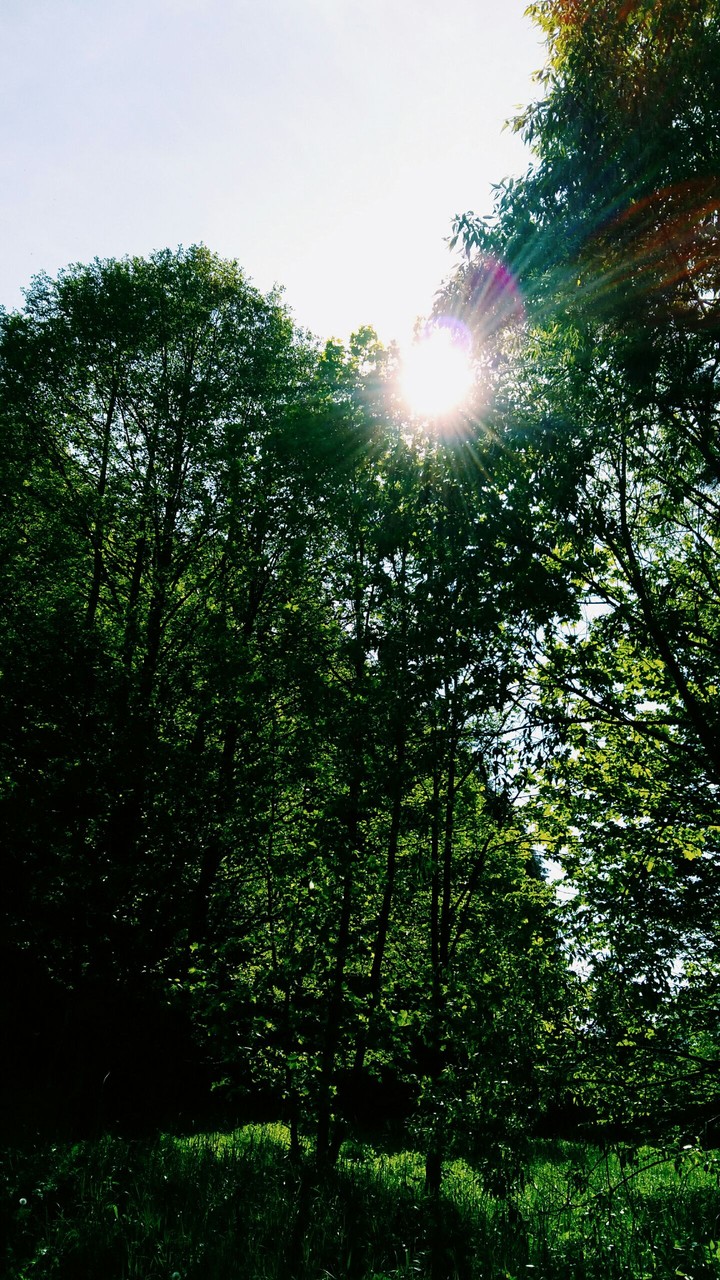 Nature