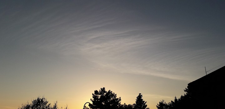 skyy pulsano foggia italy