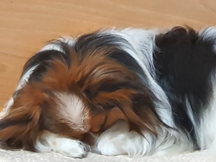 ♡