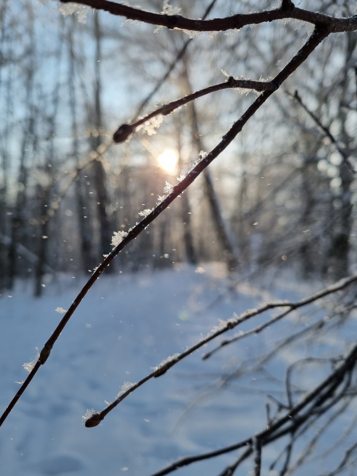 Sun rays