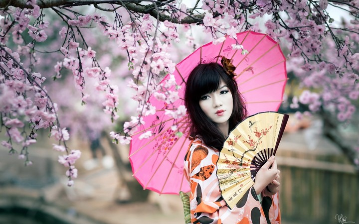 lady
