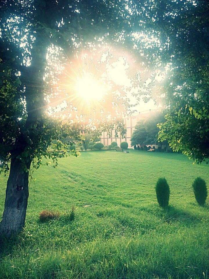 Sunshine ☀