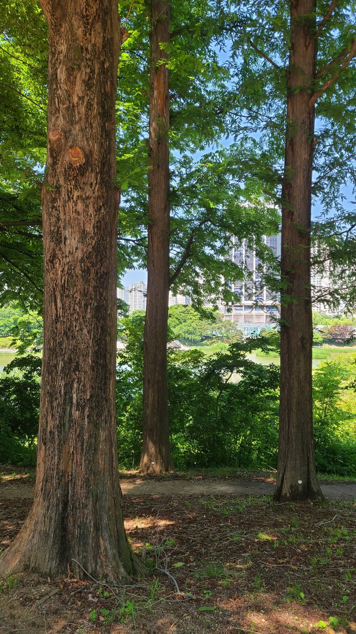 park in the city