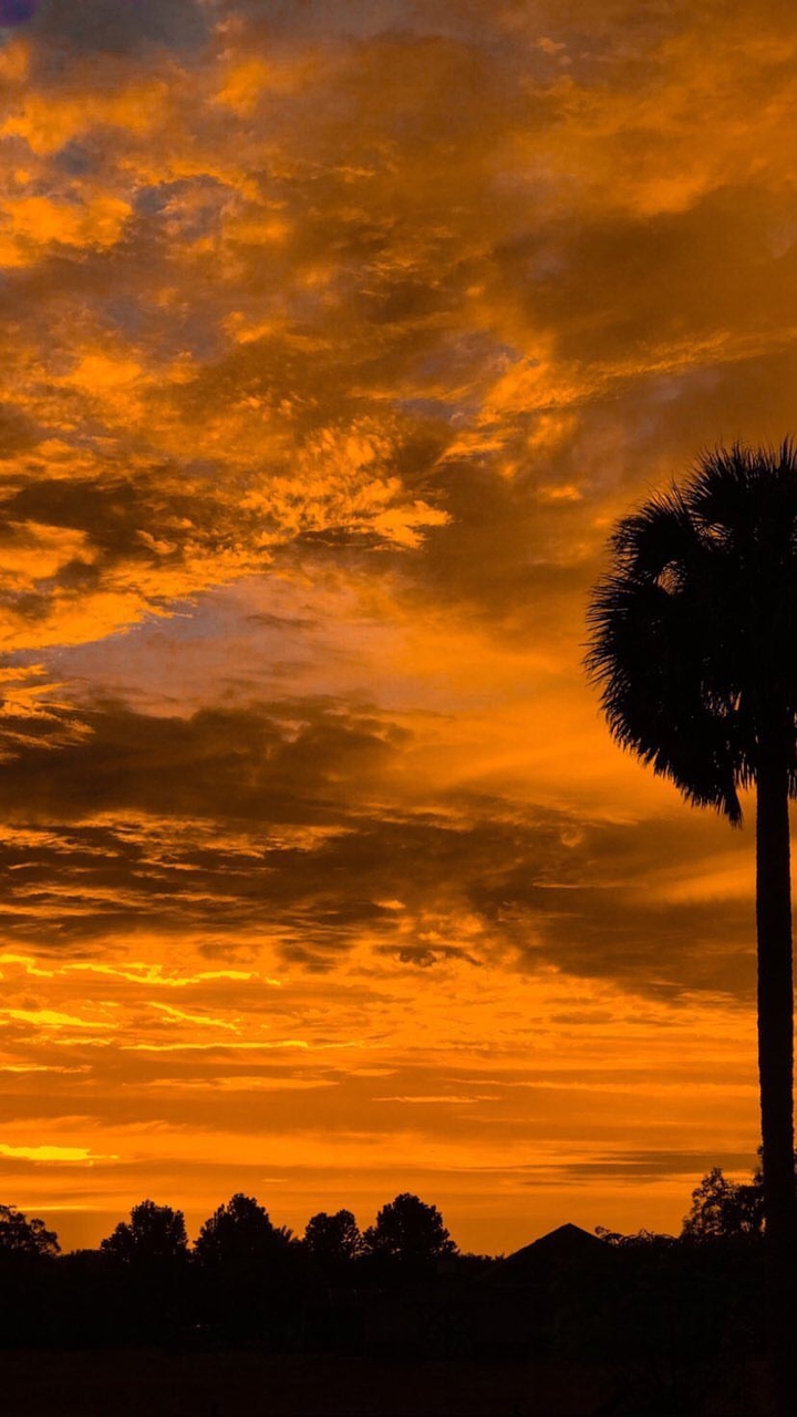 sunrise my ........no filters