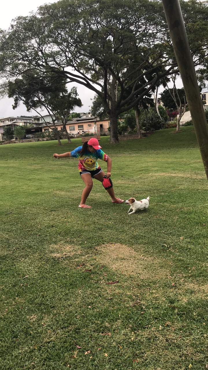Play with dog