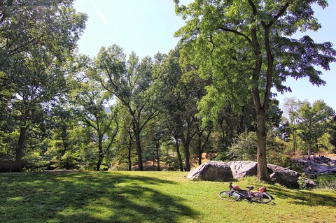 Central Park
