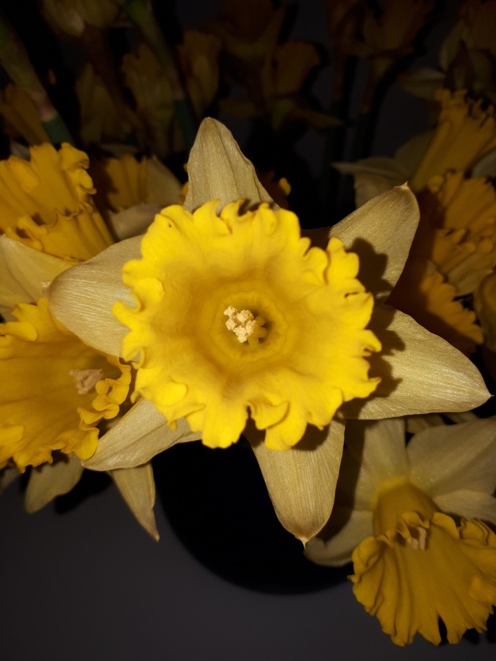 Frühling