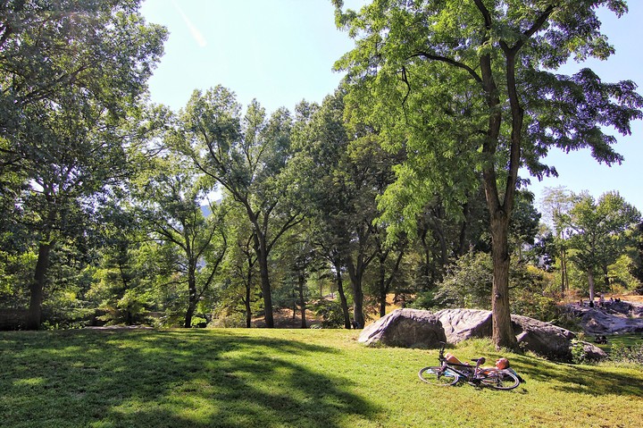 Central Park