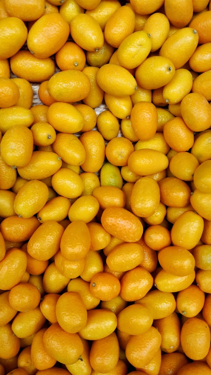 fruts
