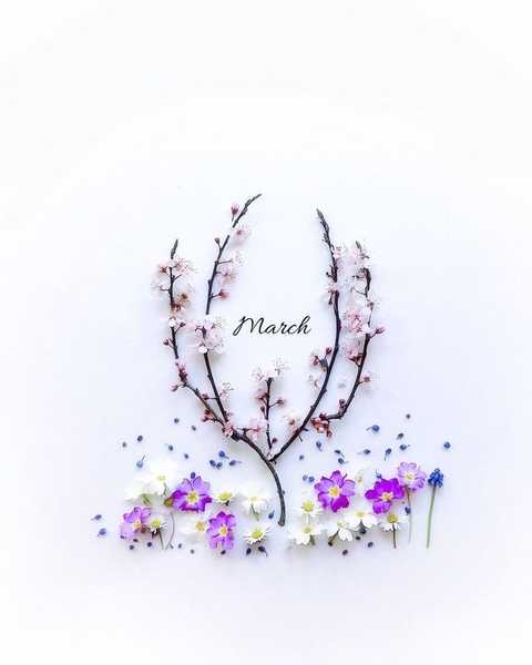 sfondi headpiece, Blossom