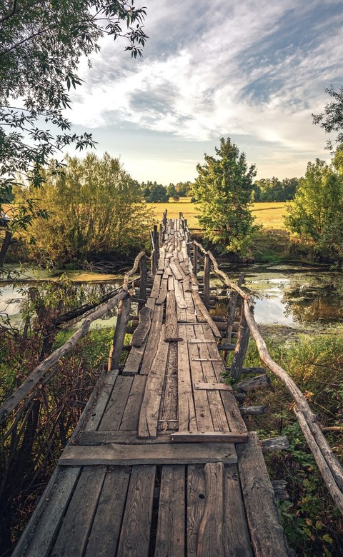 wood, walkway wallpapers