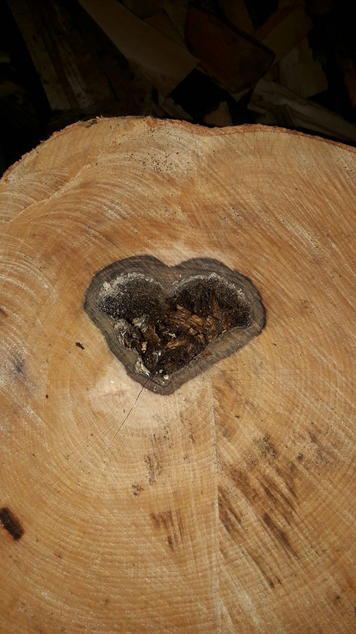 серце