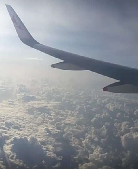✈