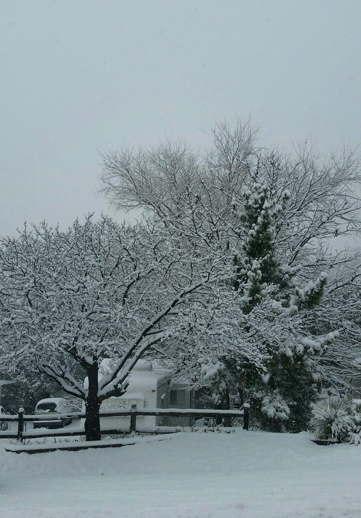 Naturaleza Blanca