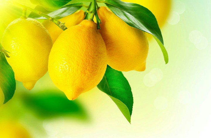 Lemons