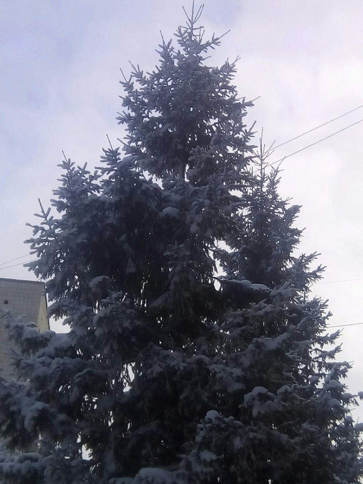 Зима.