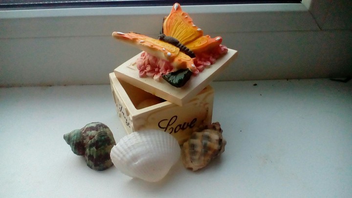 seashells...