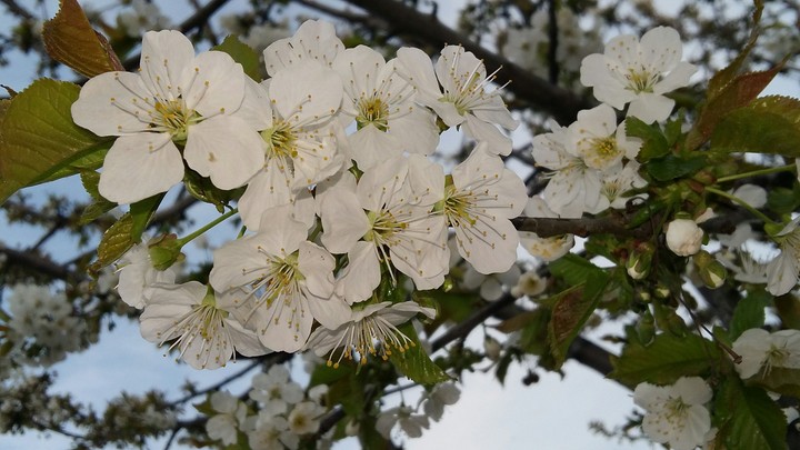 Spring day )